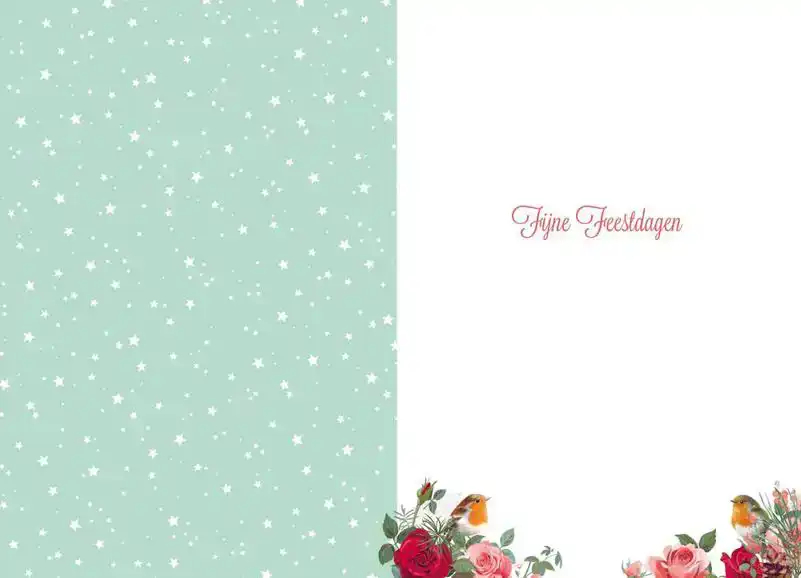 Kerstkaart 2025 fijne kerst takjes en vogels/ kerstdagen hart takken en vogels