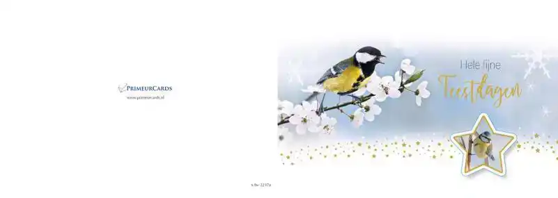 Kerstkaart 2025 vogeltjes met ster