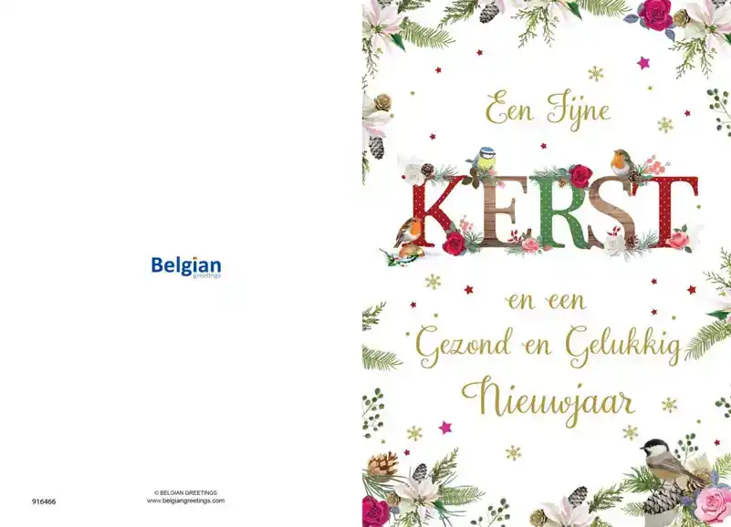 Kerstkaart 2025 fijne kerst takjes en vogels/ kerstdagen hart takken en vogels