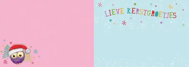 Kerstkaart 2025 uiltjes op een tak