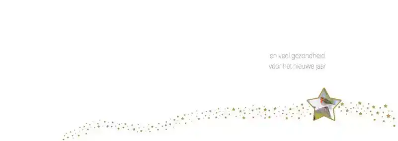 Kerstkaart 2025 vogeltjes met ster