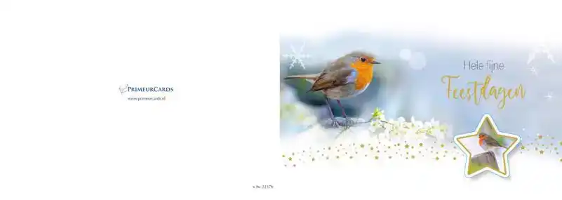 Kerstkaart 2025 vogeltjes met ster