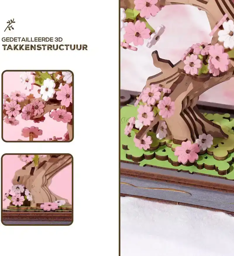 Sakura Bonsai